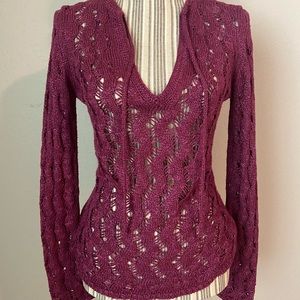 Purple Sweater - Ann Taylor Loft.